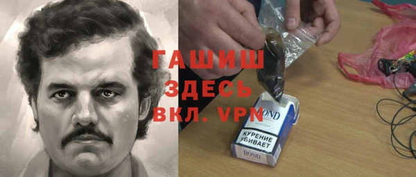 стаф Алексин