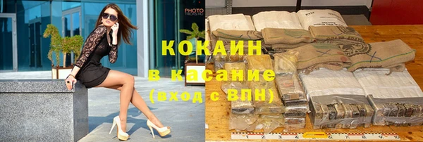 стаф Алексин