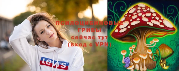 трава Алзамай