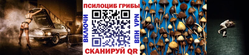 Псилоцибиновые грибы MAGIC MUSHROOMS  Лысьва 